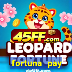 fortuna pay consultoria financeira ltda
